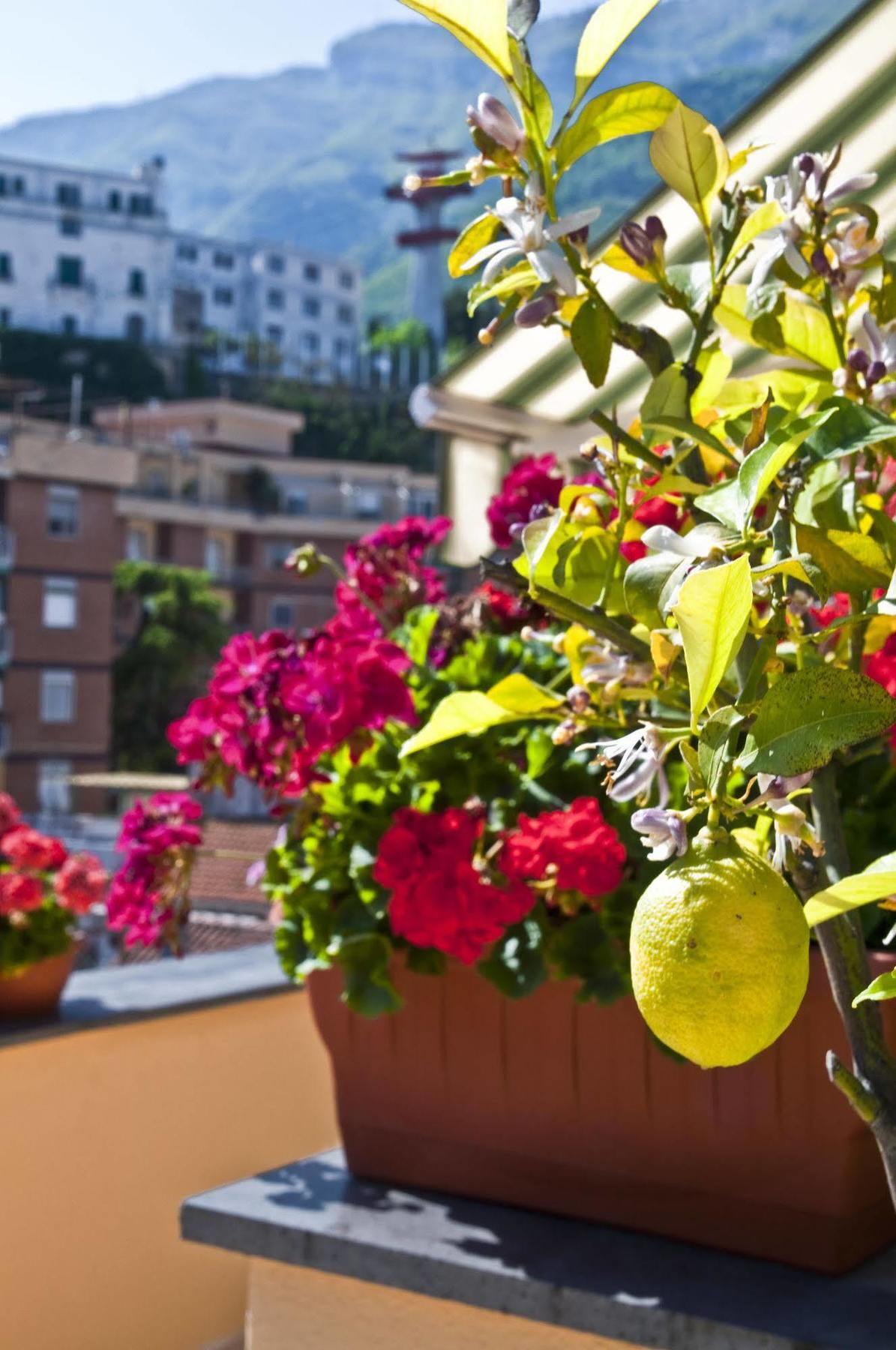 Tetto Fiorito Apartment Castellammare di Stabia Bagian luar foto